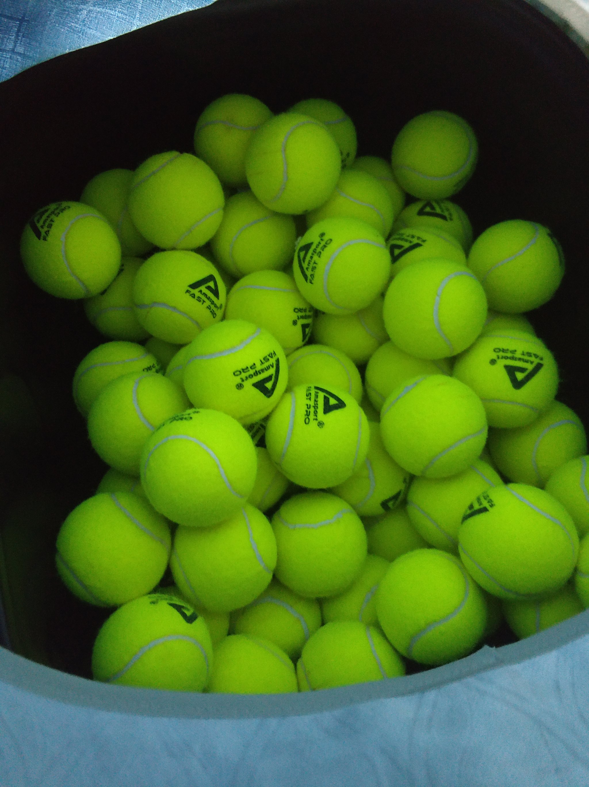 但他们的努 但他们的努